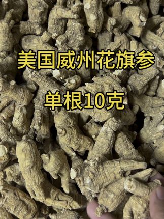 美国威斯康辛州花旗参单根10克 这款10克老参是我们家做品宣做口碑的一个品,建议直接拍#花旗参#美国花旗参#西洋参#美国西洋参