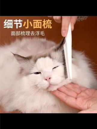 ☞ 转发 |#张予曦毕雯珺真拍了红裙抱 #深情眼 #张予曦 #毕雯珺##宠物面梳