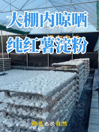 纯红薯淀粉红薯粉红苕粉农家手工制作干净无沙无杂质,产地直销。#红薯淀粉 #红薯粉 #红薯粉条 #农家红薯粉 #源头实力厂家