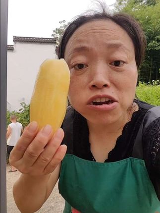 #现挖现发新鲜雪莲果#雪莲果新鲜爽口@DOU+小助手