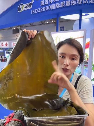 【海宝洋】霞浦有机海带中段干海带长厚海带干货原产地8-10倍高泡发