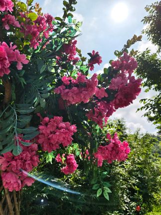 令人始料不及的手搓万物