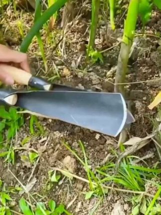 #种菜神器锰钢小铲子#方便实用值得推荐李英姐好物优选新款多多欢迎下单