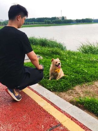 穿越时空的思念 #萌宠 #萌宠出道计划 #日常遛狗 #牵引绳