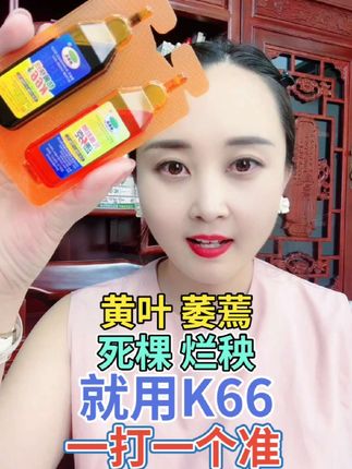 黄叶 萎蔫 死棵 烂秧 就用K66 一打一个准儿 #三农流量扶持计划 #三农