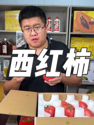 新鲜采摘新鲜发出的西红柿 汁水丰富 收到货任何坏果包赔 放心大胆拍#于胖子农场 #普罗旺斯 #西红柿 #新鲜采摘新鲜发货