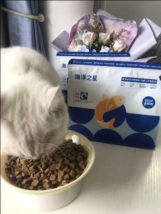 平时五十多一斤,现在尝鲜价刷到一定要带回去#养猫人 #海洋之星鲜肉烘焙粮 #海洋之星猫粮 #品牌猫粮试吃装 #烘焙猫粮推荐