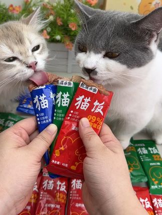 我家猫越吃越胖啦!多亏了这个猫饭#甄滋小宠猫饭 #萌宠好物 #吃货猫 厂家直销才有的价格。
