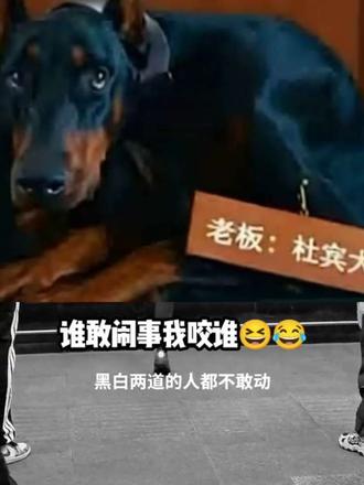 #上海#抖音创作者#抖音推广 #上海