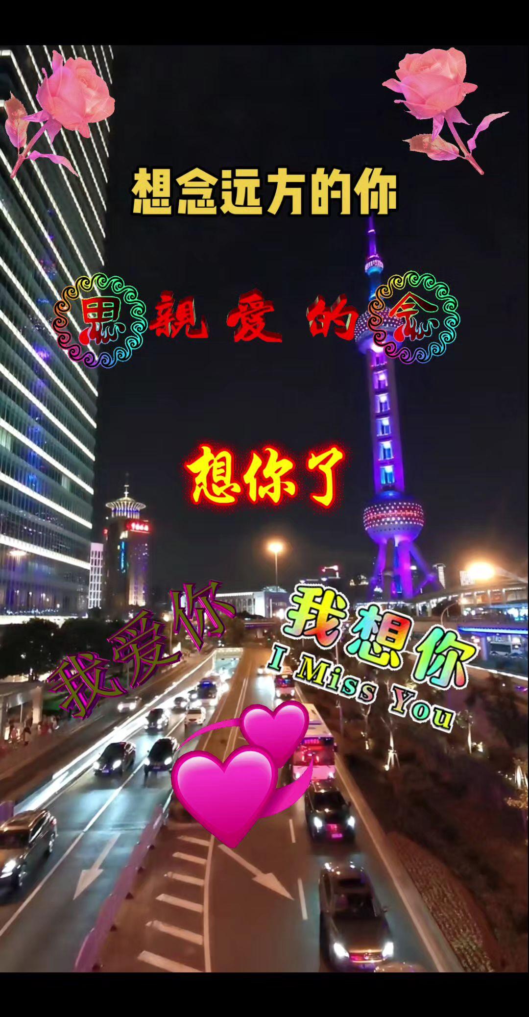 #想你的时候问月亮 #抖音热歌推荐🔥 #外滩夜景
