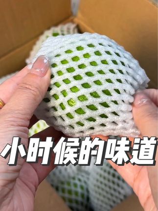 又到了吃青皮蜜橘的时候啦!还是小时候的味道!酸酸甜甜特别解腻!#青皮蜜橘 #好吃到停不下来 #新鲜应季水果 #优质农产品#新鲜采摘