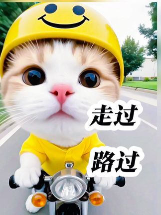 吉尼斯袋鼠小包女士包百搭通勤单肩斜跨包妈妈包婆婆包包包上班 #创作灵感 #包包 #出门必备 #百搭包包 #好物分享