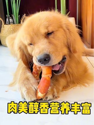 磨牙圈里层还塞了很多牛皮 ,够狗子忙活了这不比拆家更有吸引力? #磨牙零食 #萌宠好物