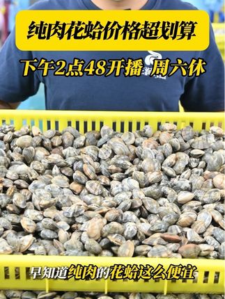 这花蛤肉真的太划算了! 不过水不包冰所见即所得!#花蛤肉#杂色蛤肉 #花甲肉 #菲律宾蛤仔 #正润食品