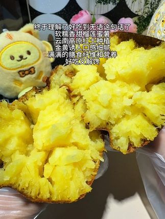 口感像榴莲一样细腻丝滑松软绵密,用空气炸锅烤出来颜色金黄金黄的,红薯香飘满整个房间!云南高原红土种植,满满的膳食纤维和营养!#软糯香甜 #烤红薯 #蜜薯 #榴莲蜜薯#云南蜜薯