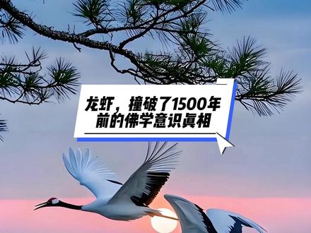 OpenClaw龙虾代码里藏着轮回!一只AI龙虾,撞破了1500年的意识真相#openclaw #佛学八识 #龙虾 #趋同演化#佛学智慧