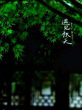 绿叶滴翠,细雨如丝,静享这一刻的清幽与安宁。🌧️🍃 #遇见秋天 #自然之美