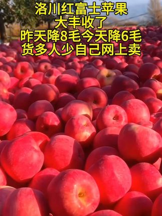 #红富士苹果 脆甜脆甜的洛川红富士苹果来了,皮薄多汁,清脆爽口,你们有没有想吃#优质农产品 #脆甜多汁 #苹果 #好吃到停不下来