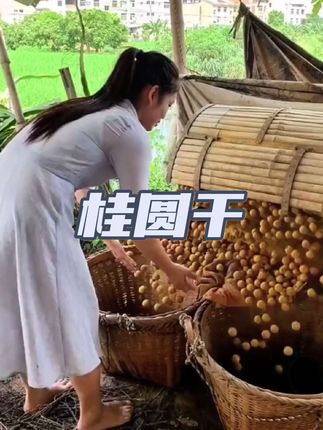 好吃的桂圆干,这个价格到手两斤,真划算!#优质农产品 #桂圆干 #强烈推荐 #超划算