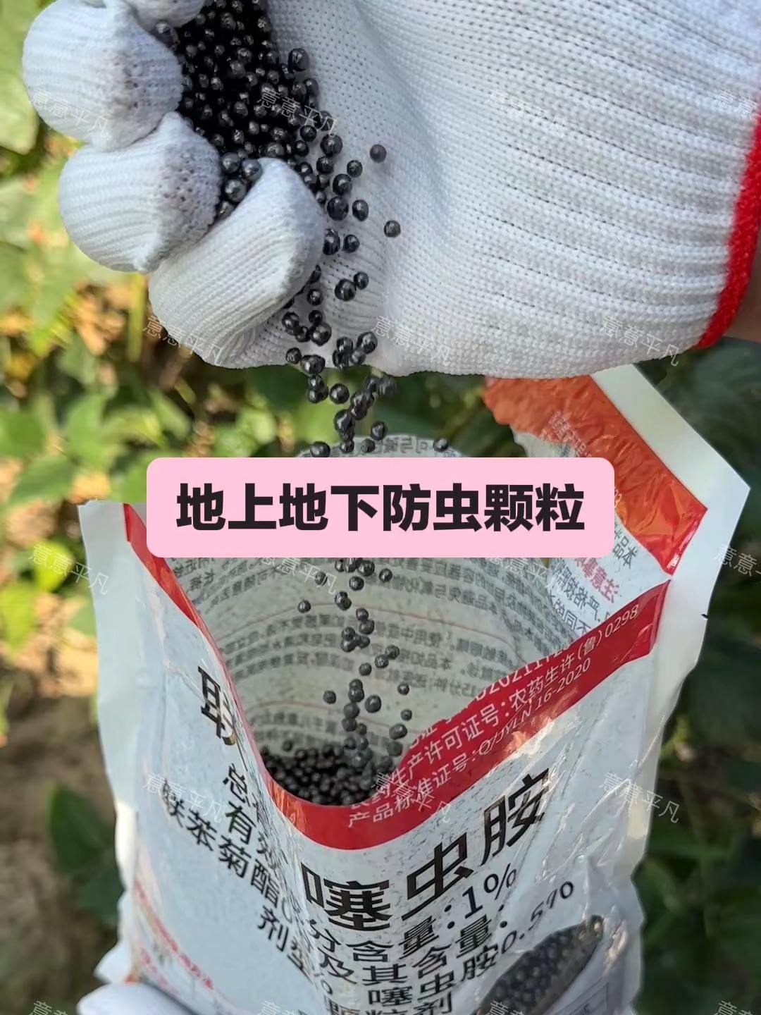 联苯噻虫胺防虫颗粒。#三农 #农业 #农业种植 #病虫害防治 #抖音助农