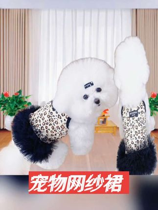 #可爱的小纱裙,猫咪狗狗都可以穿,防掉毛,纱网面料透气舒适#布偶猫不是猫是狗系列 #猫咪衣服 #狗狗衣服 #好物推荐