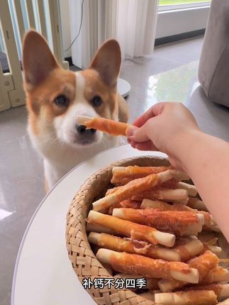 我的妈呀!这价格都卷到什么程度了!这么大一包你看看才几块钱!香香脆脆,我都想变成小狗来一根了!