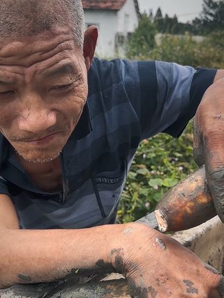 好的煲汤的藕,藕断丝连,断开而且有白浆出来! 就是好粉藕#新农人计划 #抖音助农 #我为家乡农产品代言 #湖北粉藕 #湖北藕汤