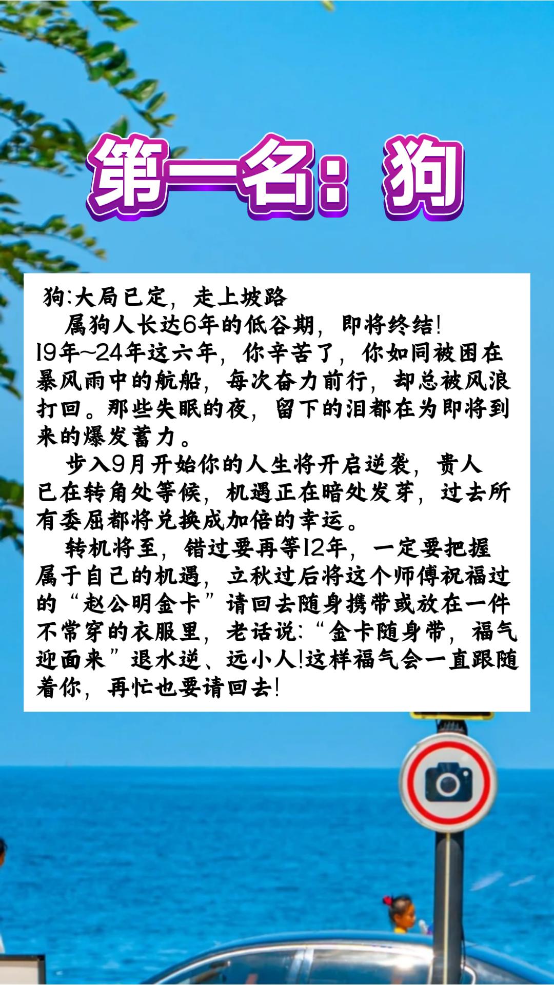 #1970年的狗 #1982年的🐶 #1994年的狗