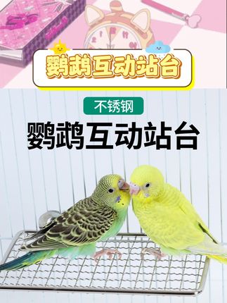 养鹦鹉的友友别错过!这款不锈钢网架跳台实用性拉满~不锈钢材质坚固耐用,给虎皮、玄凤等鹦鹉当作休息平台、互动跳台都很适配,能满足鸟儿栖息玩耍的需求,日常清洁也轻松,让毛孩子的生活更有趣味~ #鹦鹉用品 #鸟类玩具 #宠物好物