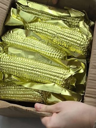 #dou上热门 #头茬玉米新鲜上市 #软糯香甜一口沦陷 刚摘的头茬玉米!撕开皮满是清甜,咬着软乎乎还爆汁,老人小孩都爱吃~#健康食材在家做 上锅蒸10分钟就香到流口水,囤满冰箱超方便!@抖加🔥上热门🔥dou+🔥热点宝 @DOU+小助手