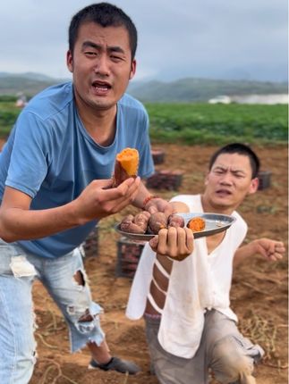 叔叔阿姨们喜欢吃吗 #红薯 #助农