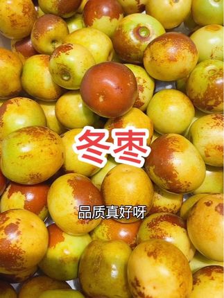 我是头一回吃到这么好吃的#冬枣 特别特别脆 特别特别甜,必须再来一单,真好吃,没吃够😀#山东沾化冬枣