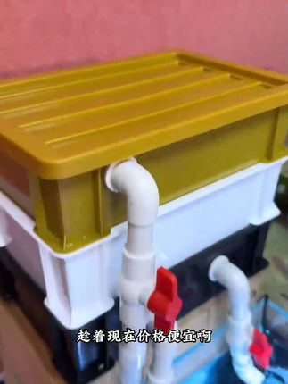 让每个养鱼人都能用上便宜好用的周转箱#鱼缸过滤器 #周转箱 #新手养鱼 #空气缸