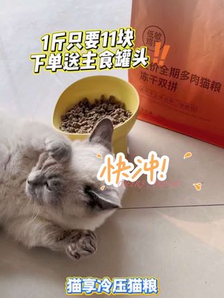 厂家补贴价来啦!一斤只要这个数! 11块钱一斤 下单还送罐头#萌宠 #吃货猫 #萌宠好物 #猫零食
