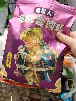#养龟日常 #乌龟喂食