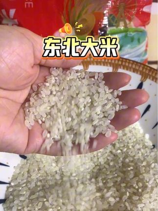 东北大米10斤装:米香浓郁,吃着香 东北大米10斤量贩装,米粒圆润饱满,煮后软糯不粘牙,满是自然米香。密封袋装防潮,囤一次够全家当主食吃好久。 #东北大米 #10斤装 #软糯米香 #家常主食 #防潮囤货