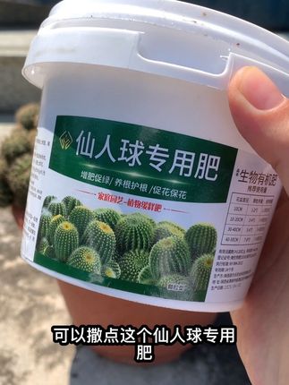 养仙人球只浇自来水,不出半年就枯萎。想要养好仙人球,用对肥料很关键。#仙人球种植#仙人球专用肥 #仙人球开花#仙人球养护 #种植小技巧