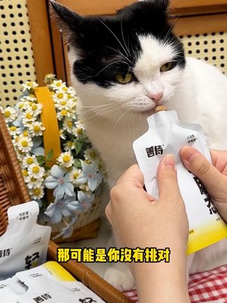 家里猫咪瘦瘦不长肉的,你就囤这个大品牌的善待主食餐包 #主食猫饭#餐包#主食餐包#主食罐#萌宠好物