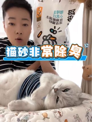 猫砂家里快用完的现在囤很划算,它是老芬儿用了很长时间后才分享给大家的#芬儿头是猫不是猪