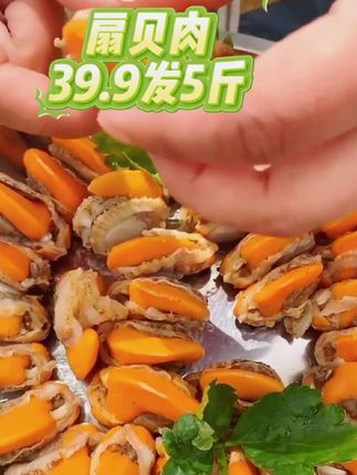 #扇贝肉 #海鲜 #海鲜美食 #超便宜超划算 #快来一起尝个鲜