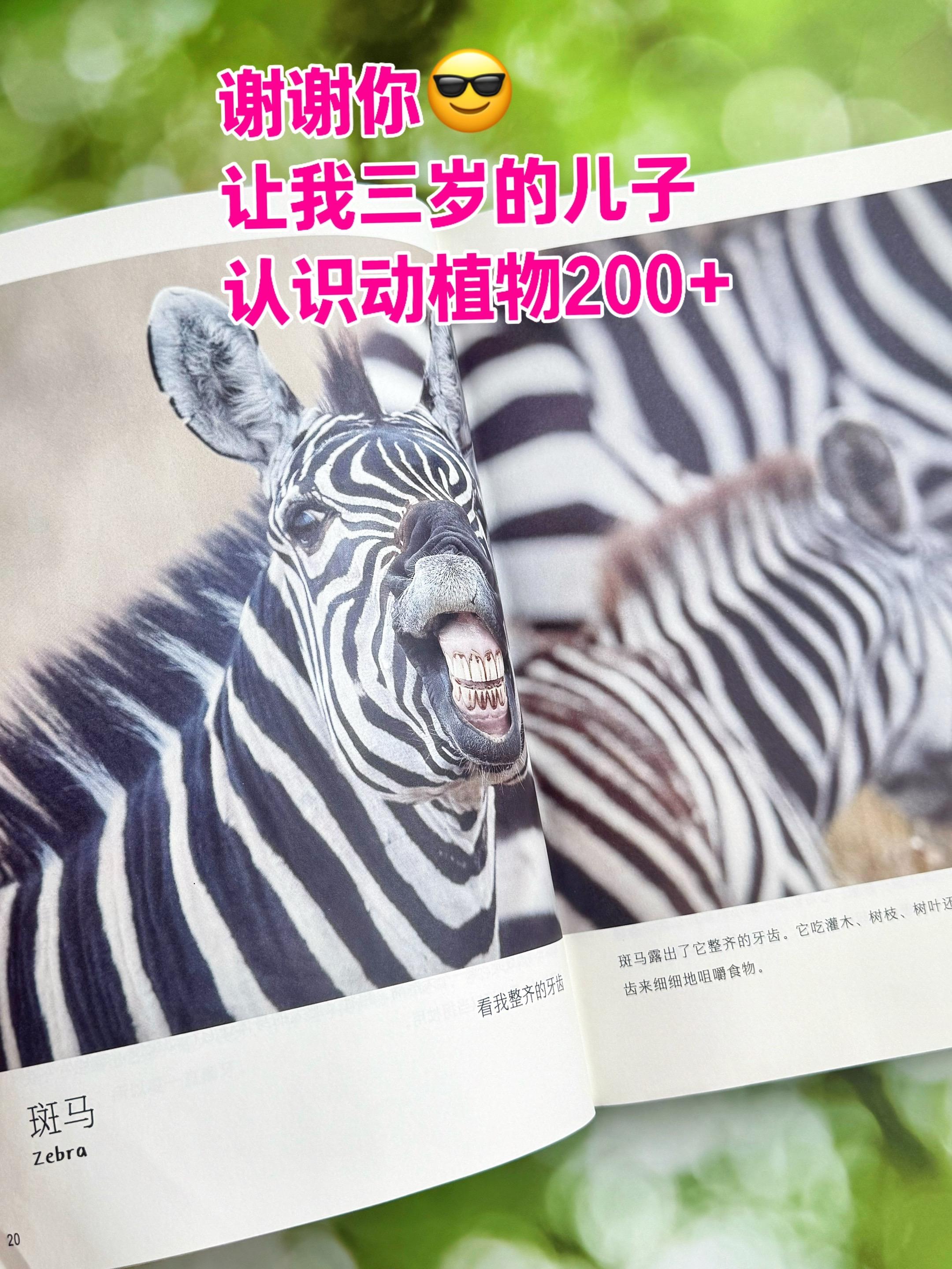 挖到宝‼️儿童科普天花板。200种常见的动植物大集合,天上飞的,水里游的,地上爬的,土里长的,应有尽有。而且,每一页都是高清实拍图!就像是看纪录片一样,每一帧都能把孩子拽进真实的自然世界!#神奇动物在抖音 #儿童自然科普#幼儿百科全书