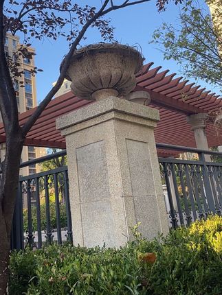 #张予曦毕雯珺真的拍了红裙抱#深情眼 #张予曦 #毕雯珺