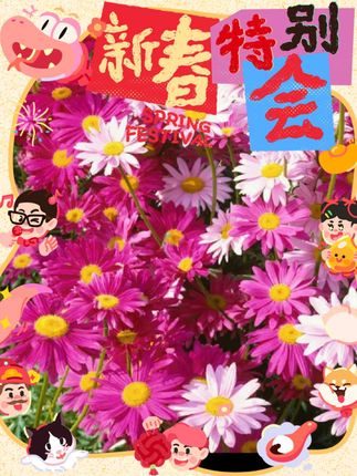 有阳台花盆小院的,建议多种一些#除虫菊,种植简单易成活,好看又驱虫#驱蚊植物 #防虫小妙招
