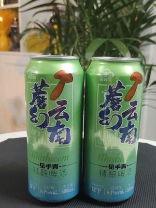 #啤酒#精酿啤酒#牛肝菌精酿啤酒#好酒推荐#酒香不怕巷子深