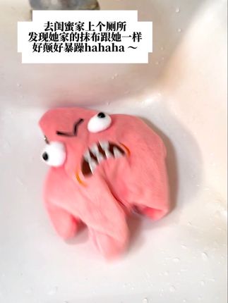 去闺蜜家上个厕所,发现她们家的抹布跟她性格一样火爆哈哈哈哈 #玩具 #解压玩具 #玩具推荐 #好玩的玩具 #派大星
