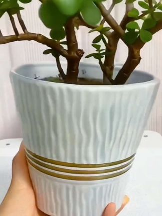 家用陶瓷简约花盆大口径落地式北欧风格绿植盆栽发财树绿萝君子兰。