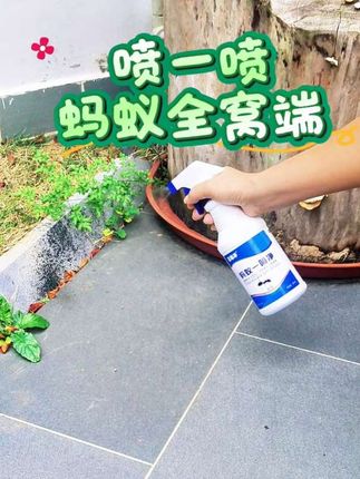 富易净灭蚂蚁药家用无味无色除虫家庭驱虫灭杀防治去蚂蚁克星喷剂#蚂蚁#灭蚂蚁