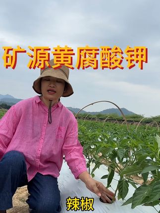 矿源黄腐酸钾,调酸改土,改良土壤,增强肥效。今天福利拉满,拍二发三,拍六发10#矿源黄腐酸钾 #矿源腐植酸 #调酸改土 #生根壮苗 #老谭农资店