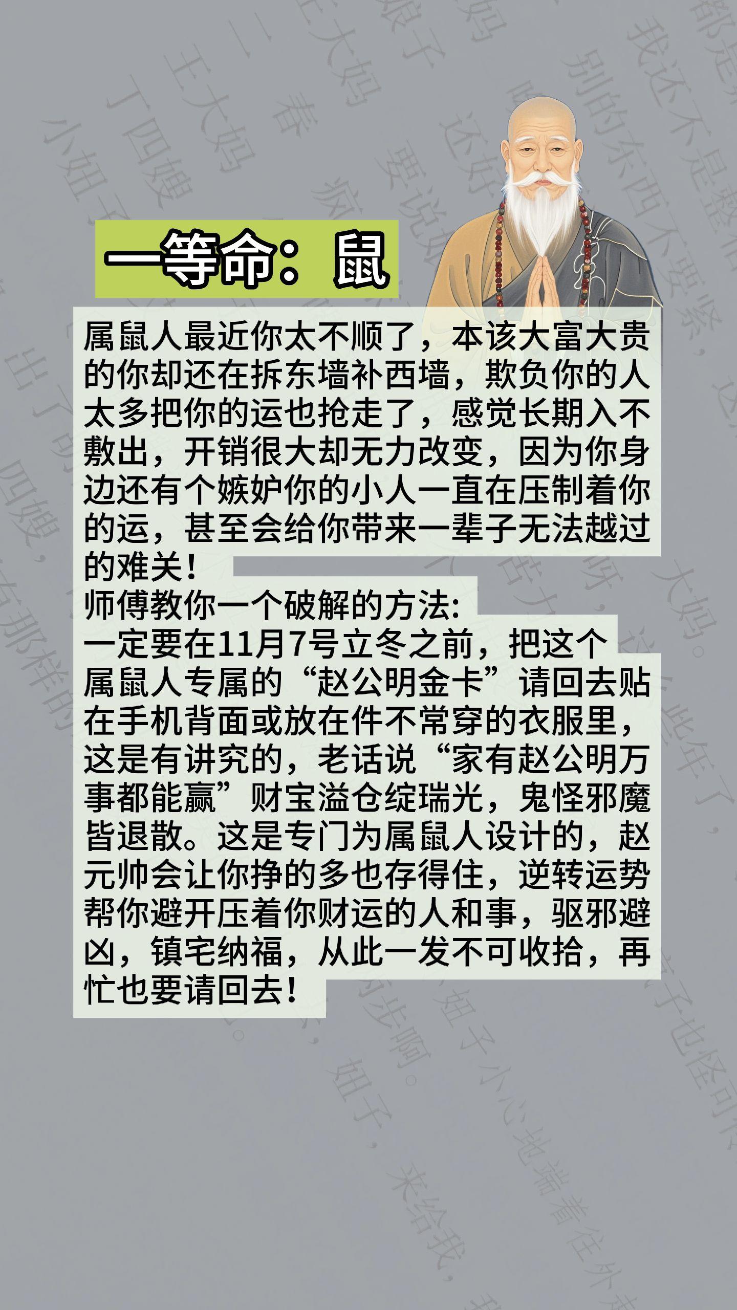 #鼠 #属鼠 #生肖鼠