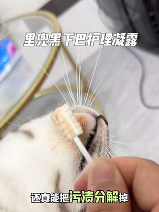 猫咪下巴一旦变黑就要尽早处理,别让它越来越严重,用里兜护理凝露轻松解决#养猫新手 #萌宠好物 #黑下巴 #猫咪黑下巴